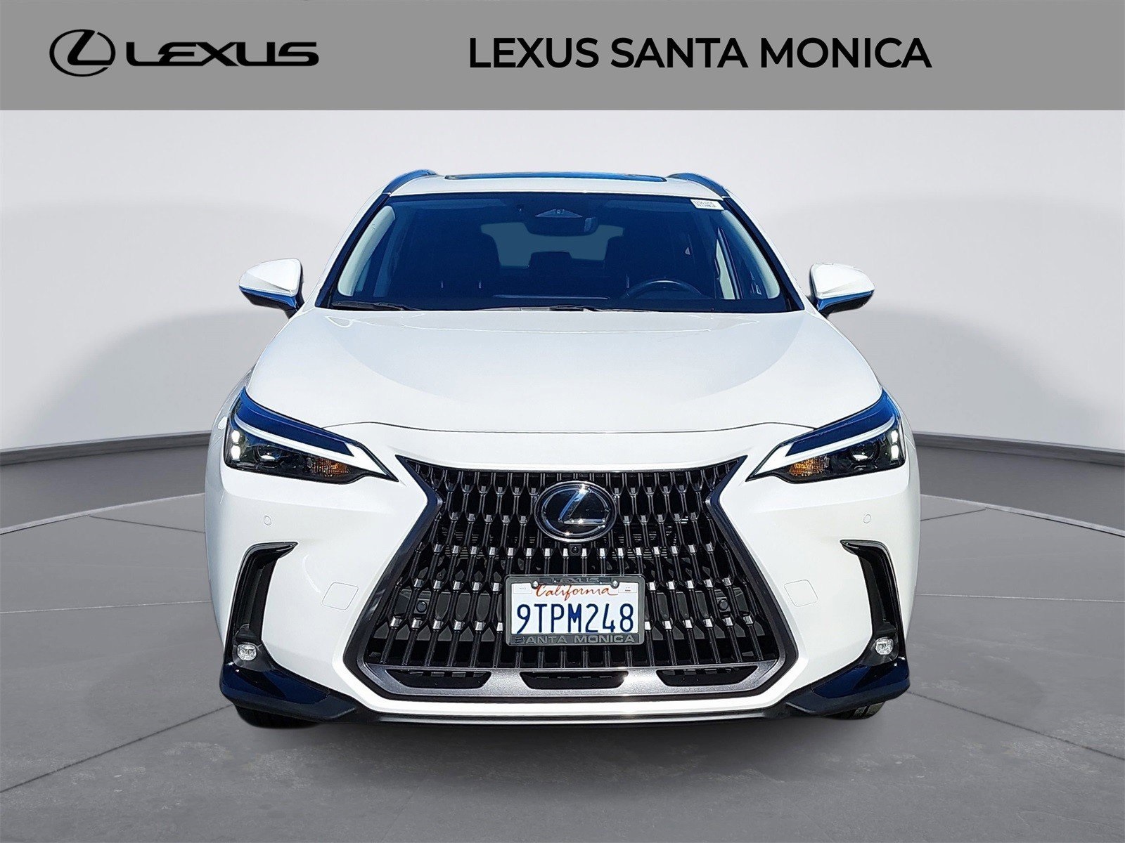 2025 Lexus NX Hybrid 350h's photo