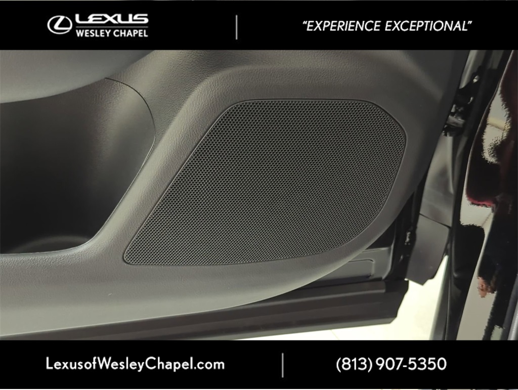 2025 Lexus NX 350 F SPORT Handling AWD photo 10