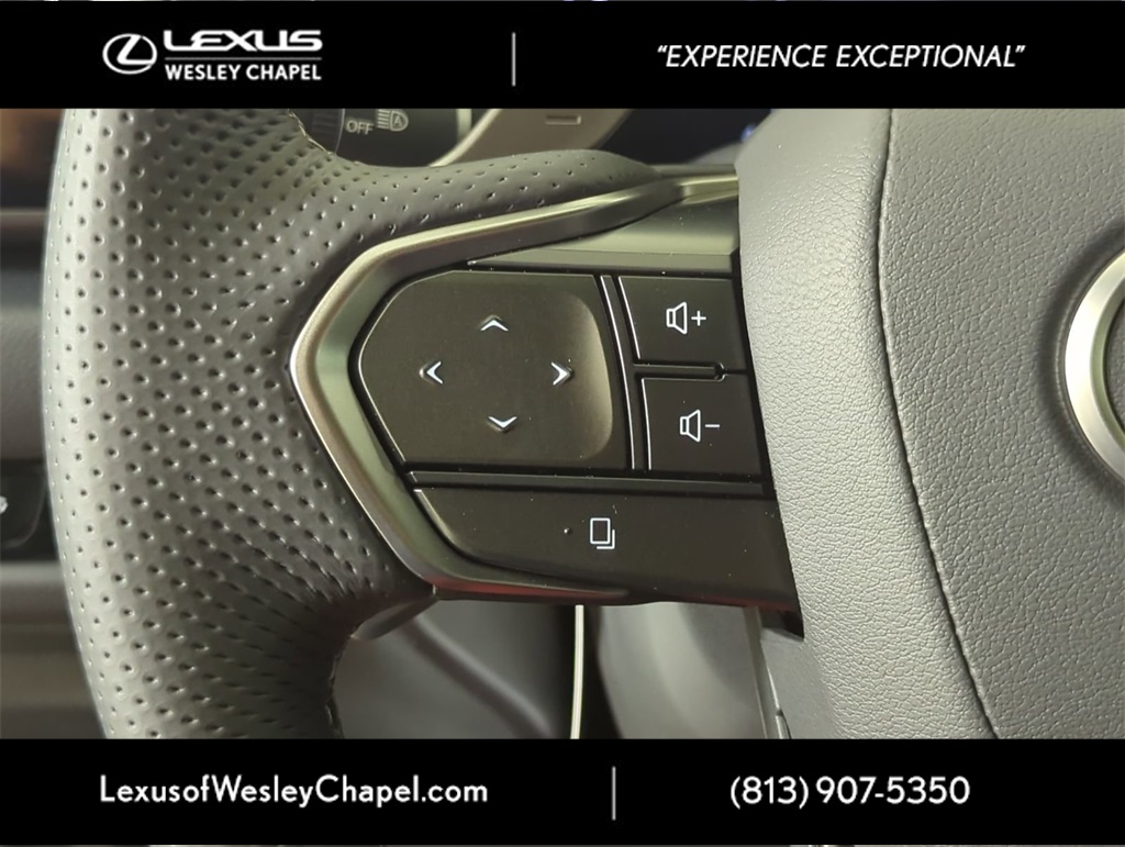 2025 Lexus NX 350 F SPORT Handling AWD photo 18