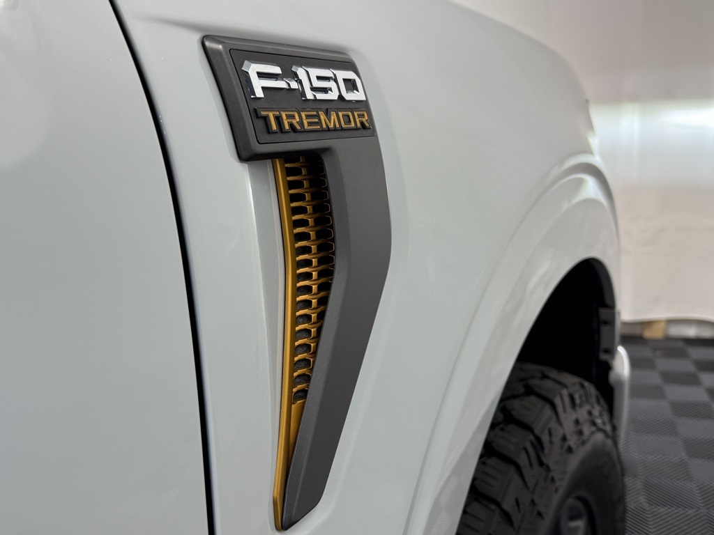 2024 Ford F-150 Tremor photo 2