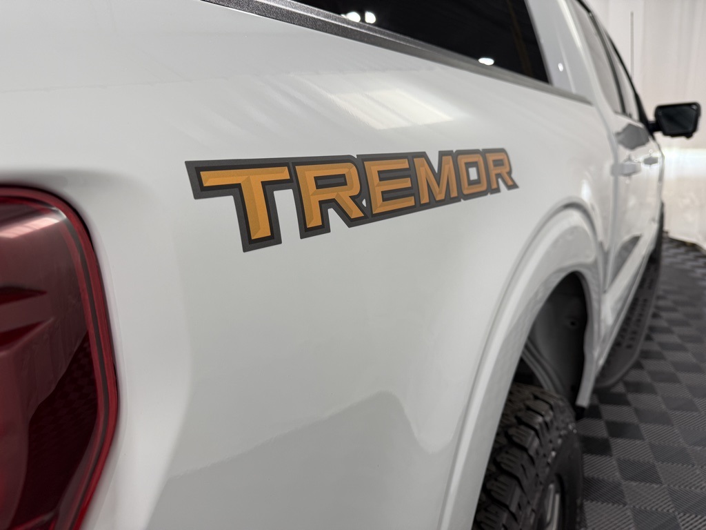 2024 Ford F-150 Tremor photo 3
