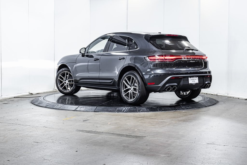 Macan