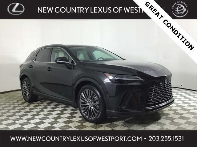 2023 Lexus RX 350's photo