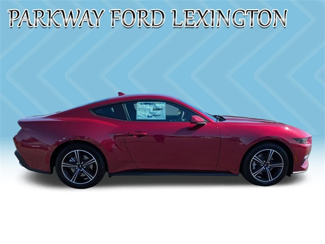 2025 Ford Mustang EcoBoost photo 4