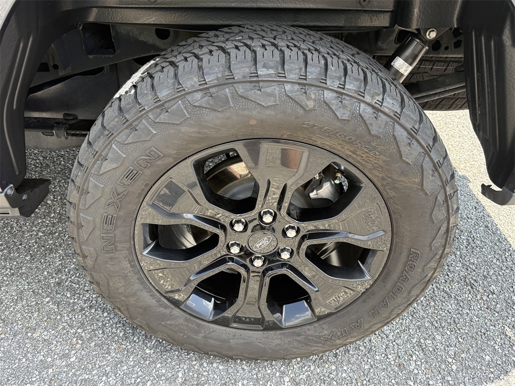 Image-19
