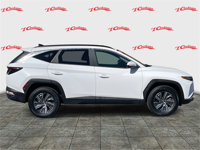 2022 Hyundai Tucson Hybrid Blue photo 2