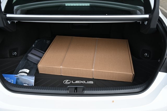 2025 Lexus ES 300h photo 21