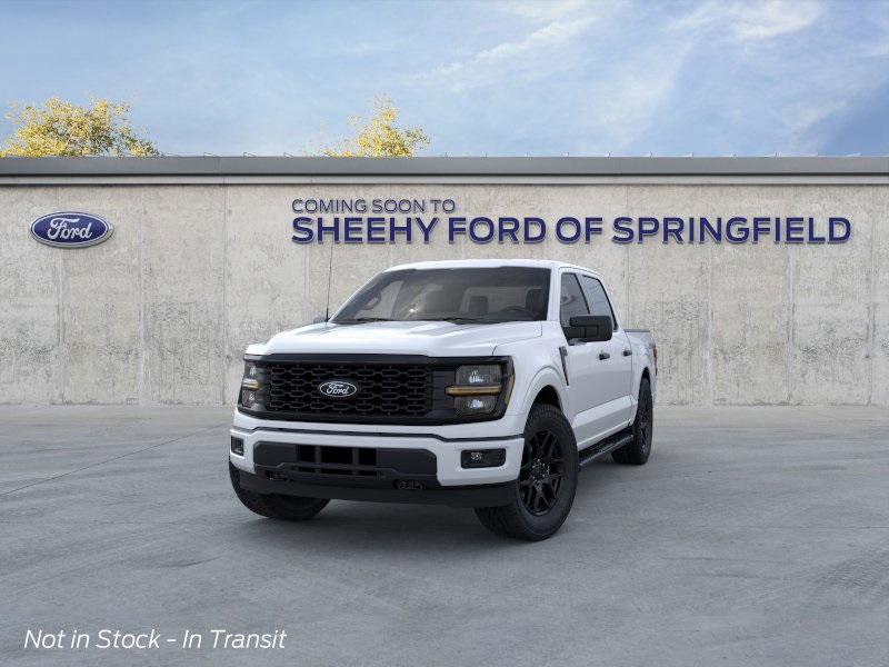 2025 Ford F-150 STX photo 3