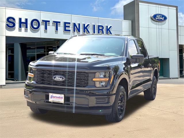 2025 Ford F-150 STX photo 3