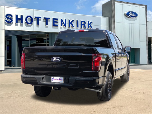 2025 Ford F-150 STX photo 8