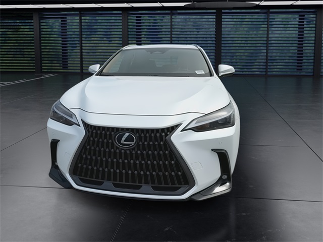 2025 Lexus NX 350h Premium AWD photo 3