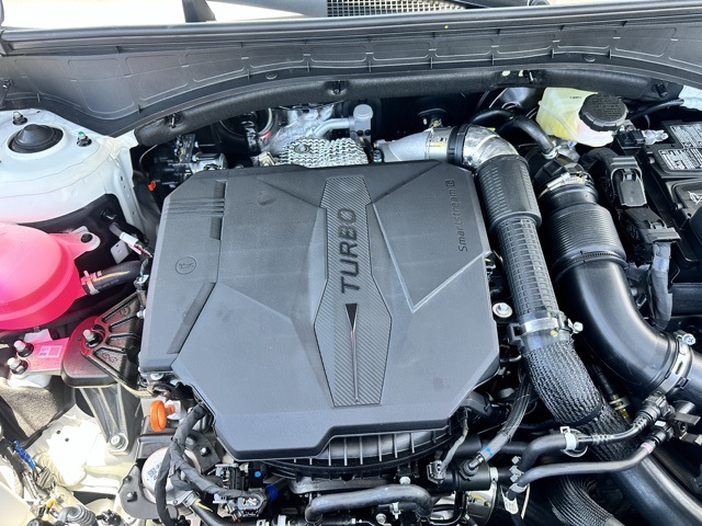 2025 Hyundai Santa Fe Limited photo 34