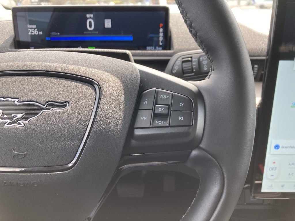2024 Ford Mustang Mach-E Premium photo 12