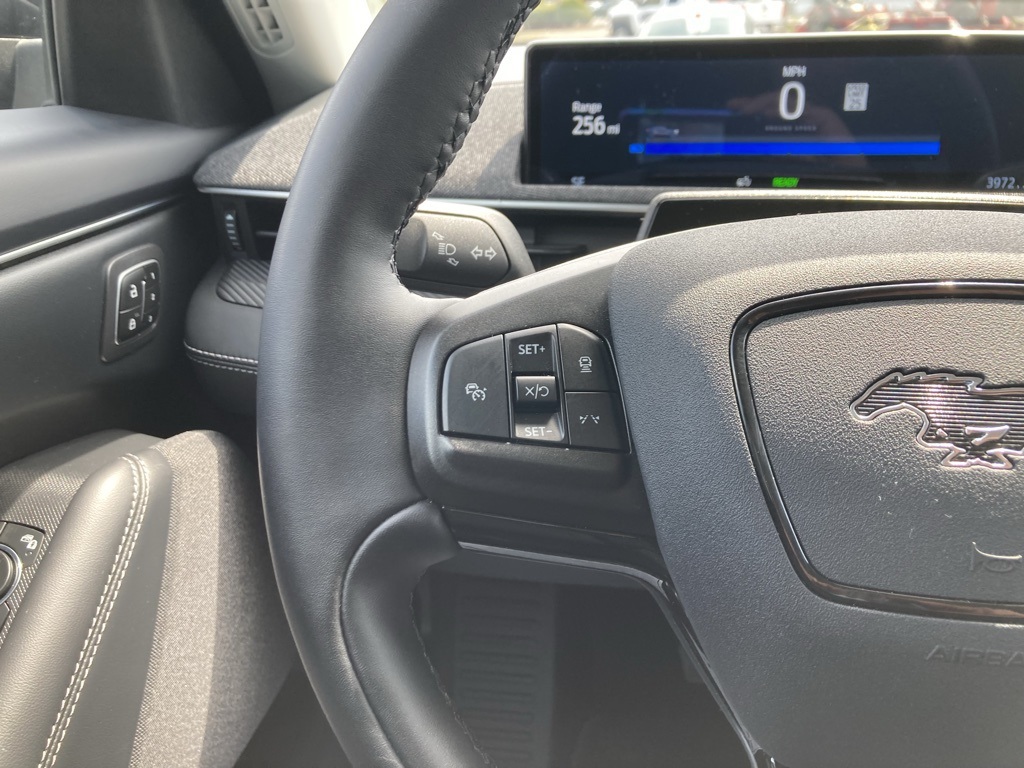 2024 Ford Mustang Mach-E Premium photo 14