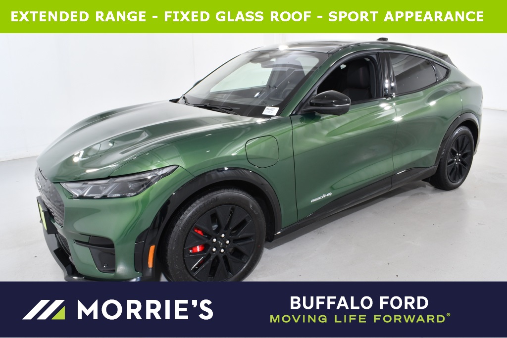 2025 Ford Mustang Mach-E Premium AWD's photo