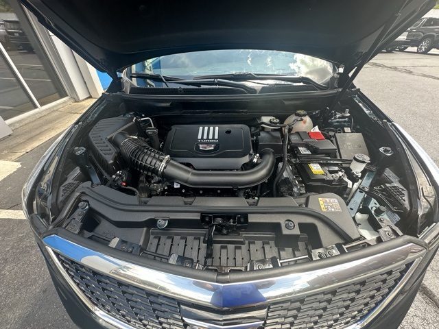 2024 Emerald Lake Metallic Cadillac XT5 Luxury AWD SUV