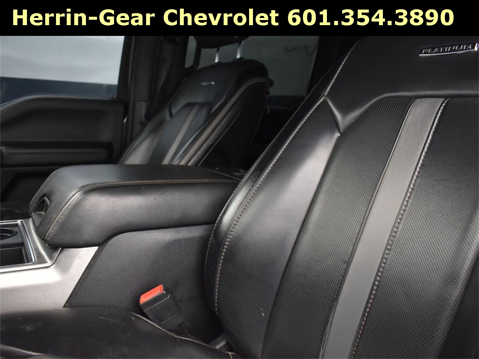 2019 Magnetic Ford Super Duty F-250 SRW Platinum 4X4 Truck