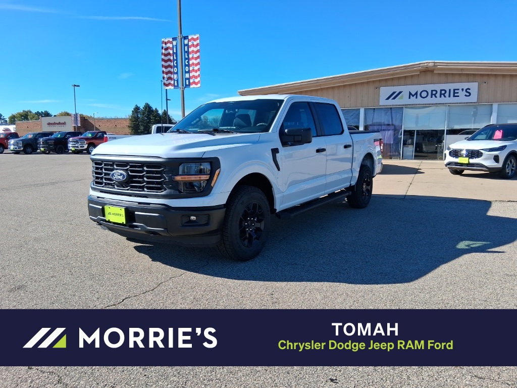 2025 Ford F-150 STX's photo