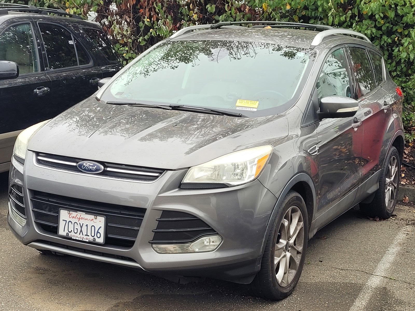 2014 Ford Escape Titanium's photo
