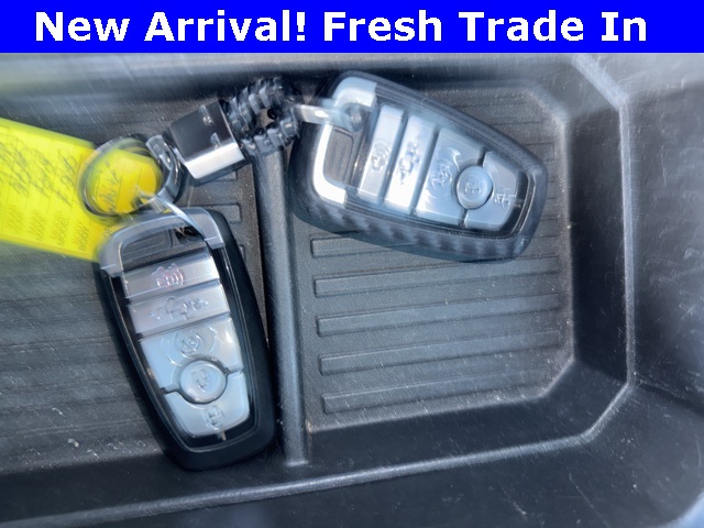 2020 Ford F-250 photo 4