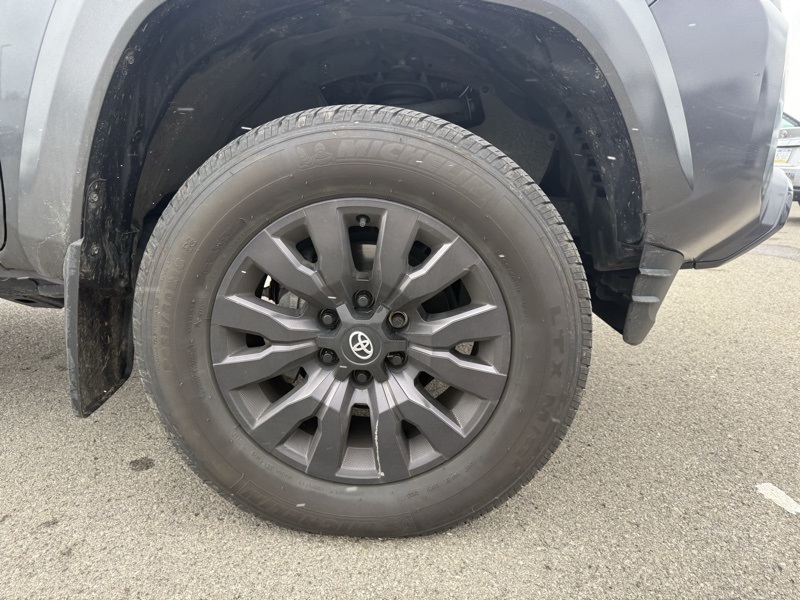 Used 2023 Toyota Tacoma Truck