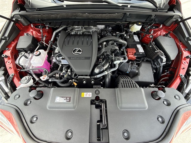 2025 Lexus NX 350 Luxury AWD photo 24