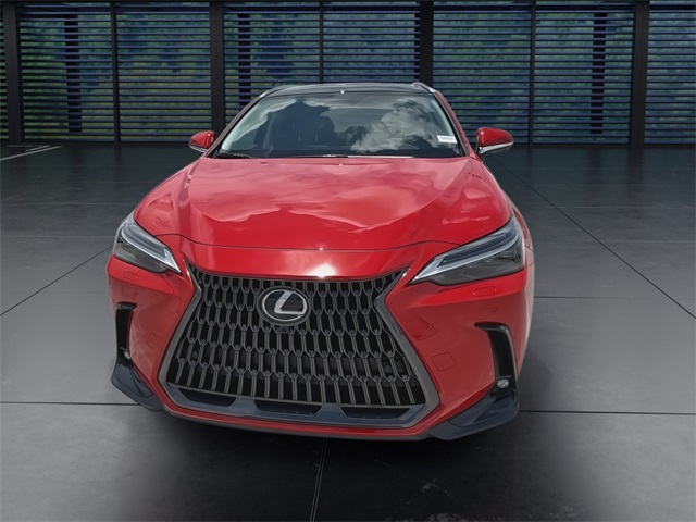 2025 Lexus NX 350 Luxury AWD photo 3