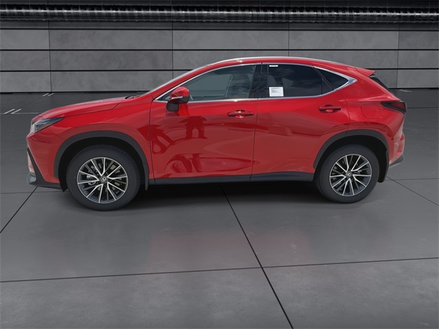 2025 Lexus NX 350 Luxury AWD photo 5