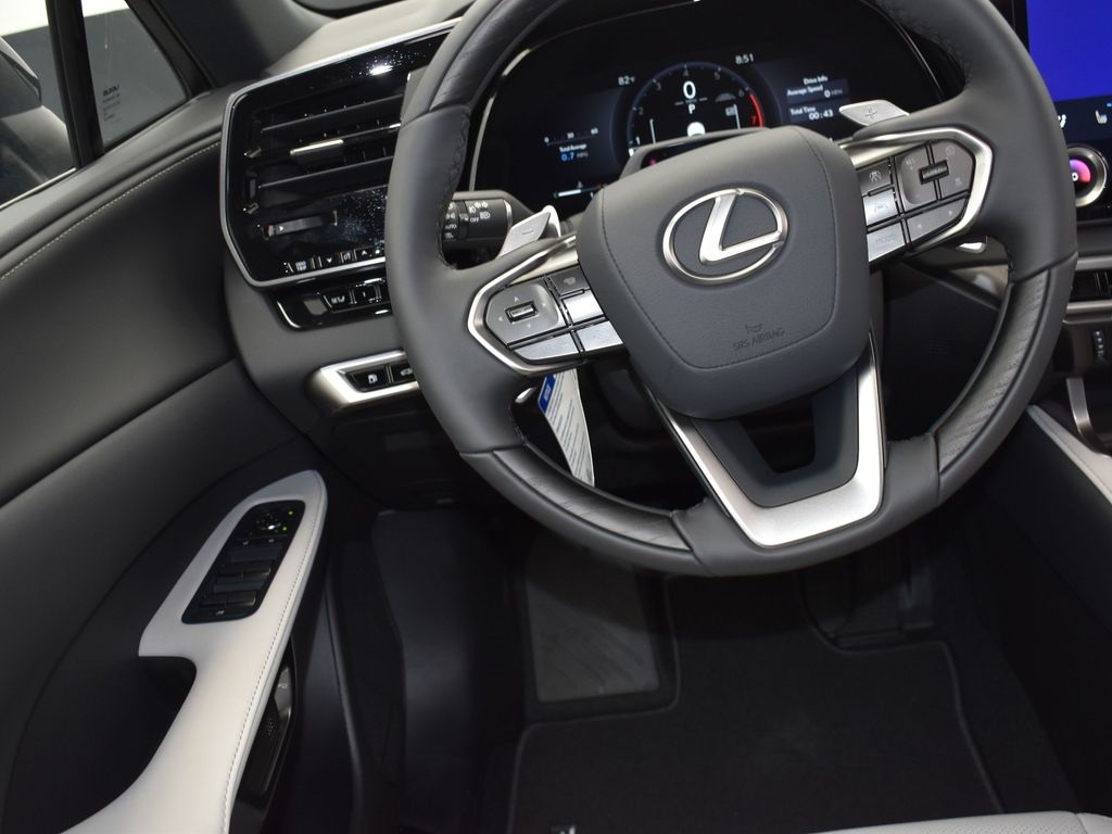 2025 Lexus RX 350 F SPORT AWD photo 25