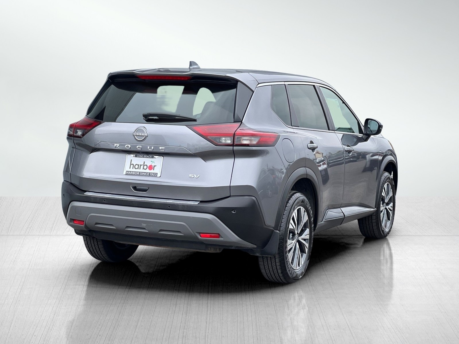 Rogue SV