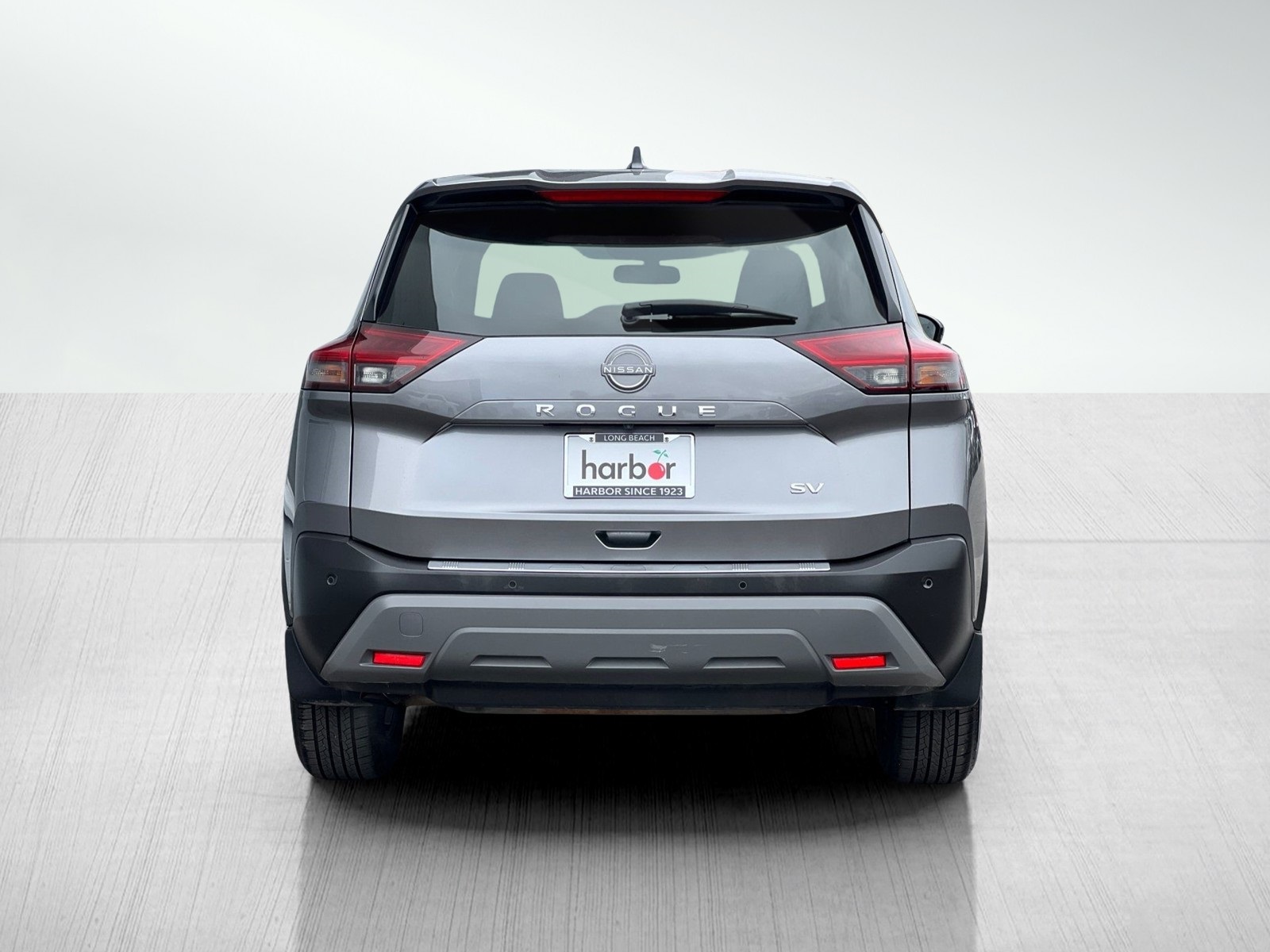 Rogue SV