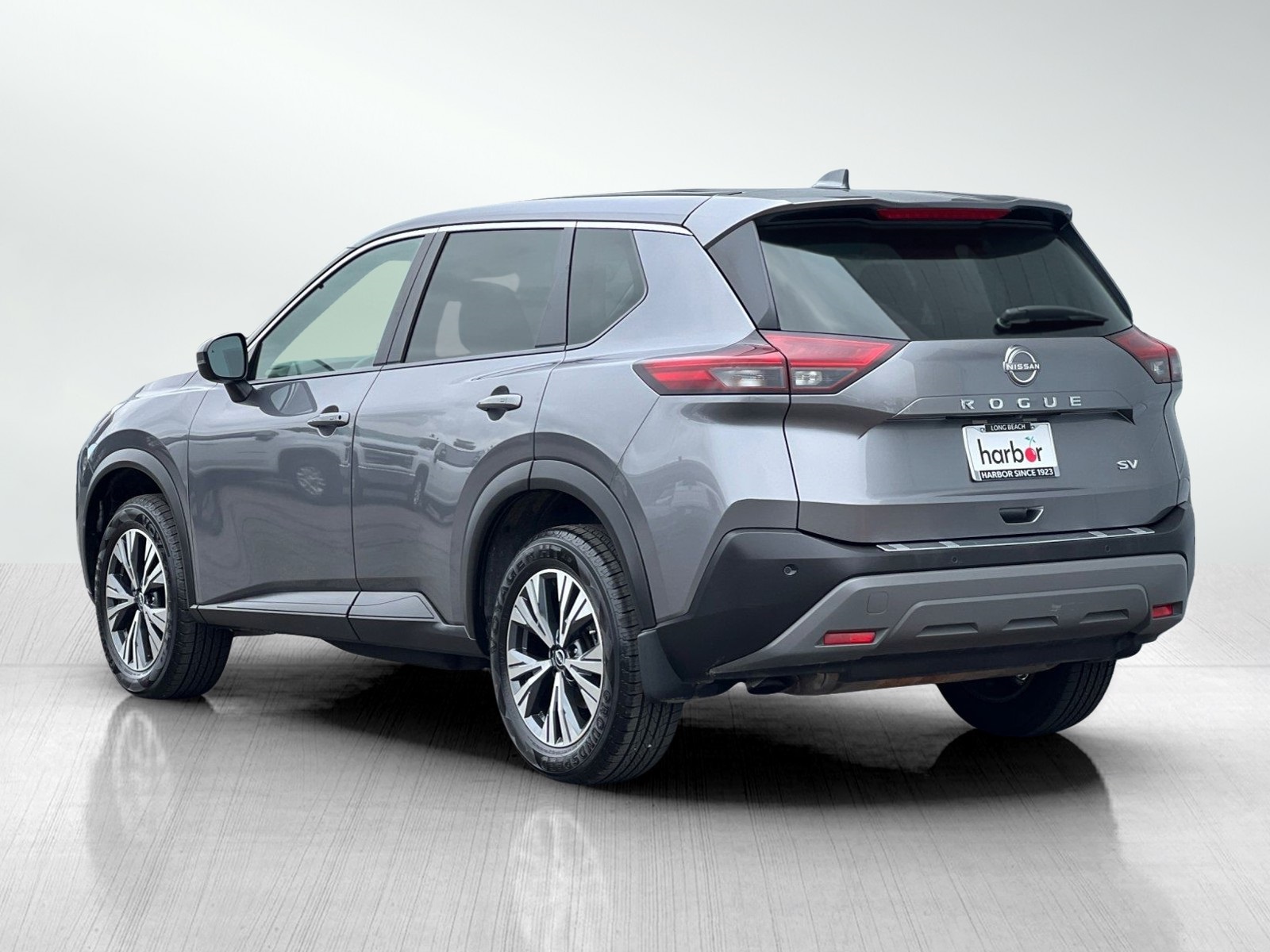 Rogue SV