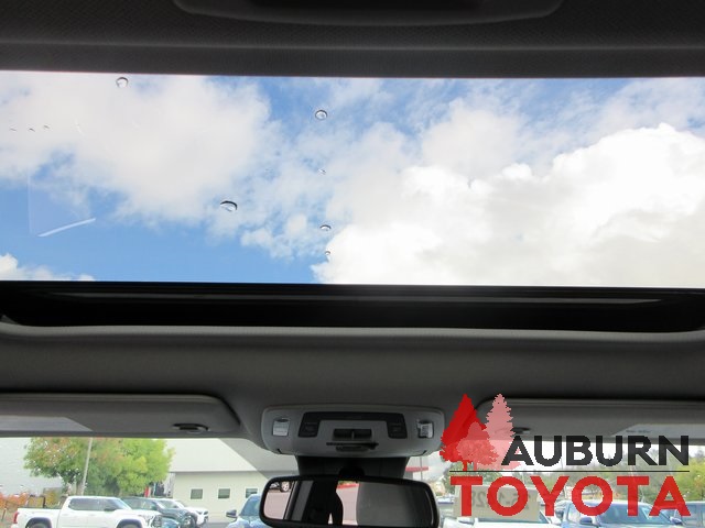 2025 Toyota Sienna XLE photo 3