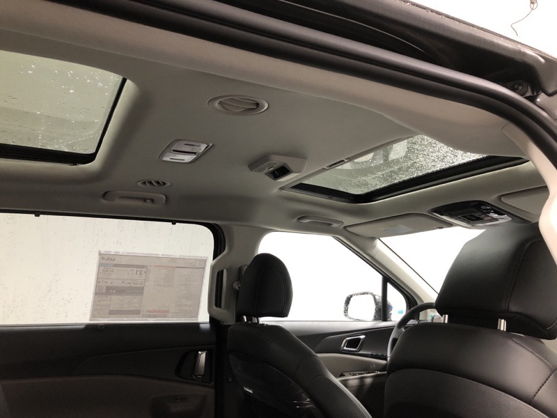 2026 Kia Carnival SX photo 10