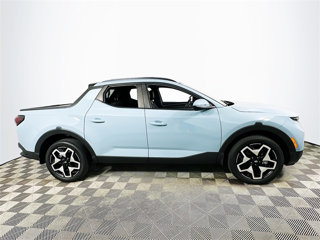 Santa Cruz Limited