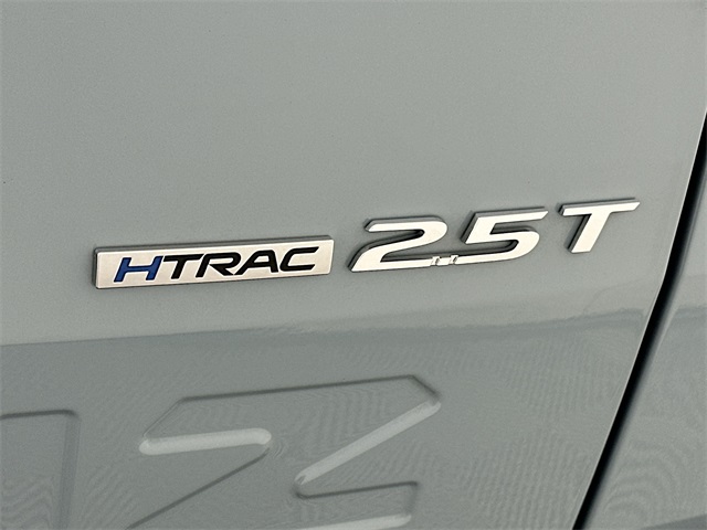 Santa Cruz Limited