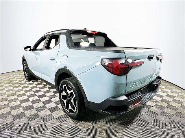 Santa Cruz Limited