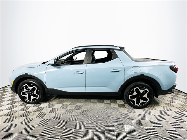 Santa Cruz Limited