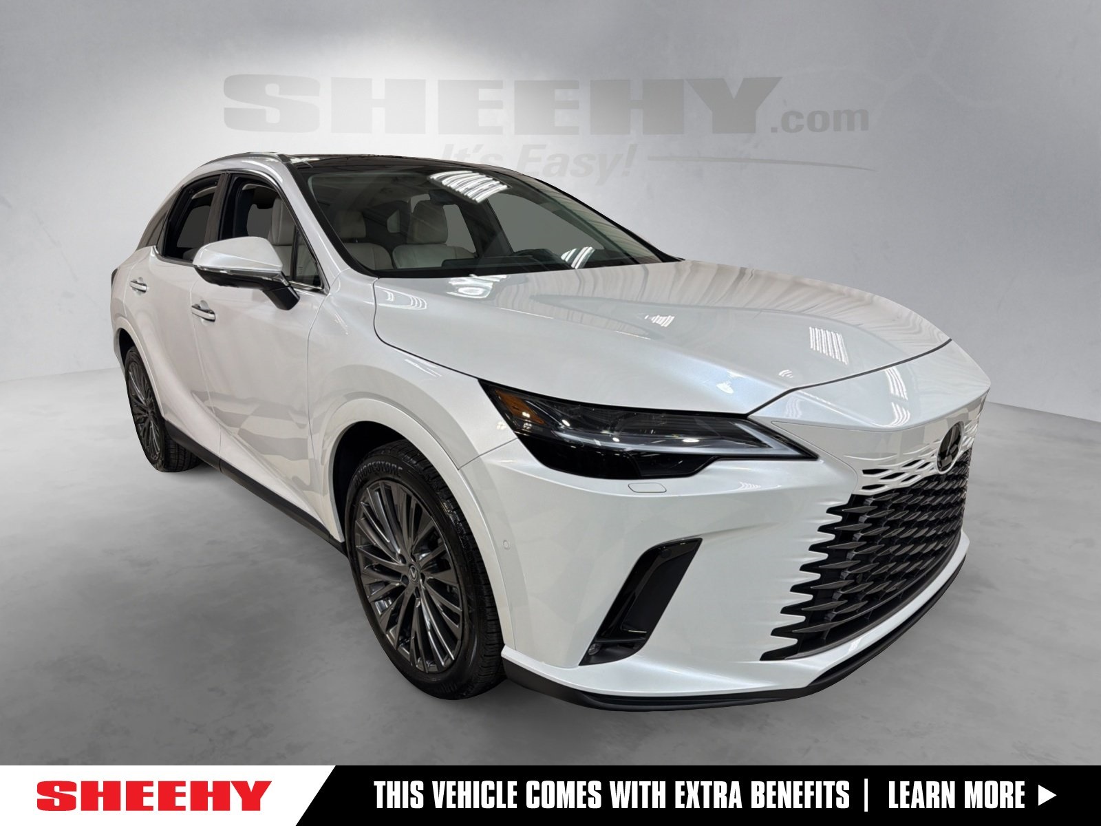 2024 Lexus RX Hybrid 350h's photo