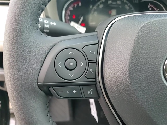 2025 Toyota RAV4 XLE photo 13