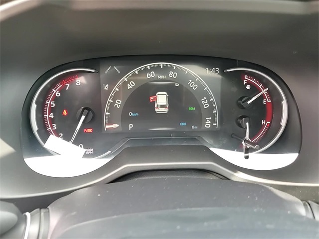 2025 Toyota RAV4 XLE photo 15