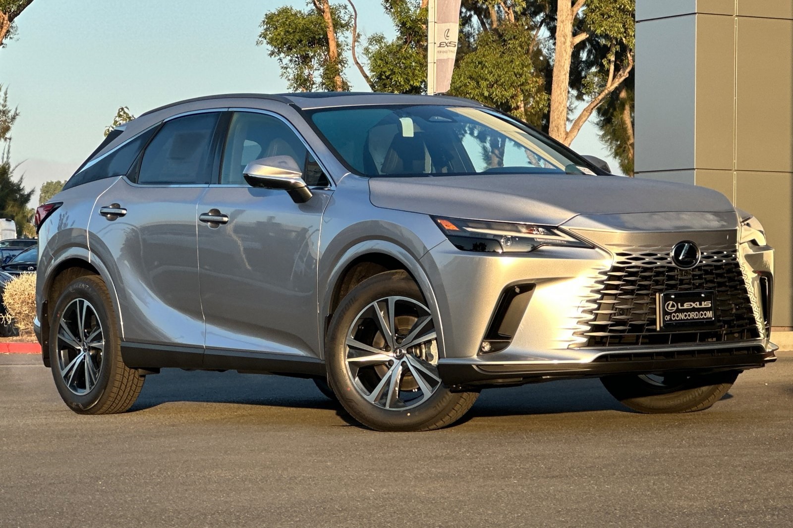 2025 Lexus RX 350 Premium photo 2