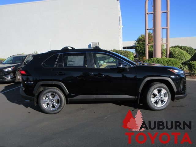 2025 Toyota RAV4 Hybrid XLE photo 2