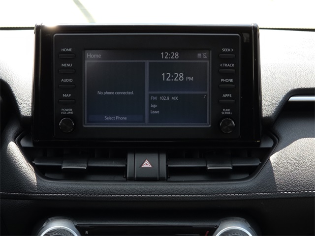 2019 Toyota RAV4 LE photo 10