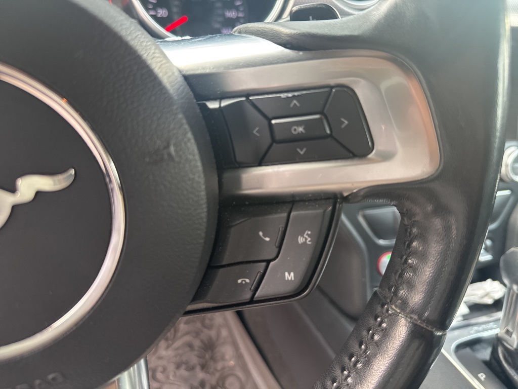2018 Ford Mustang GT photo 17