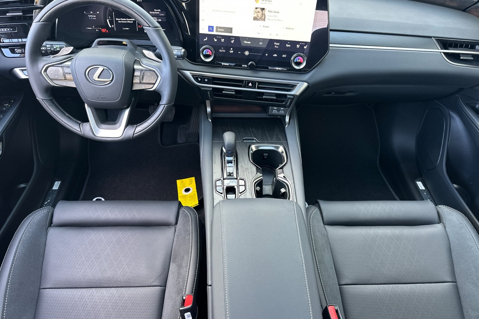 2025 Lexus RX 350 Luxury AWD photo 9