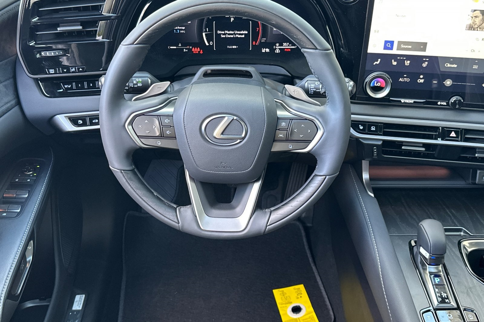 2025 Lexus RX 350 Luxury AWD photo 10