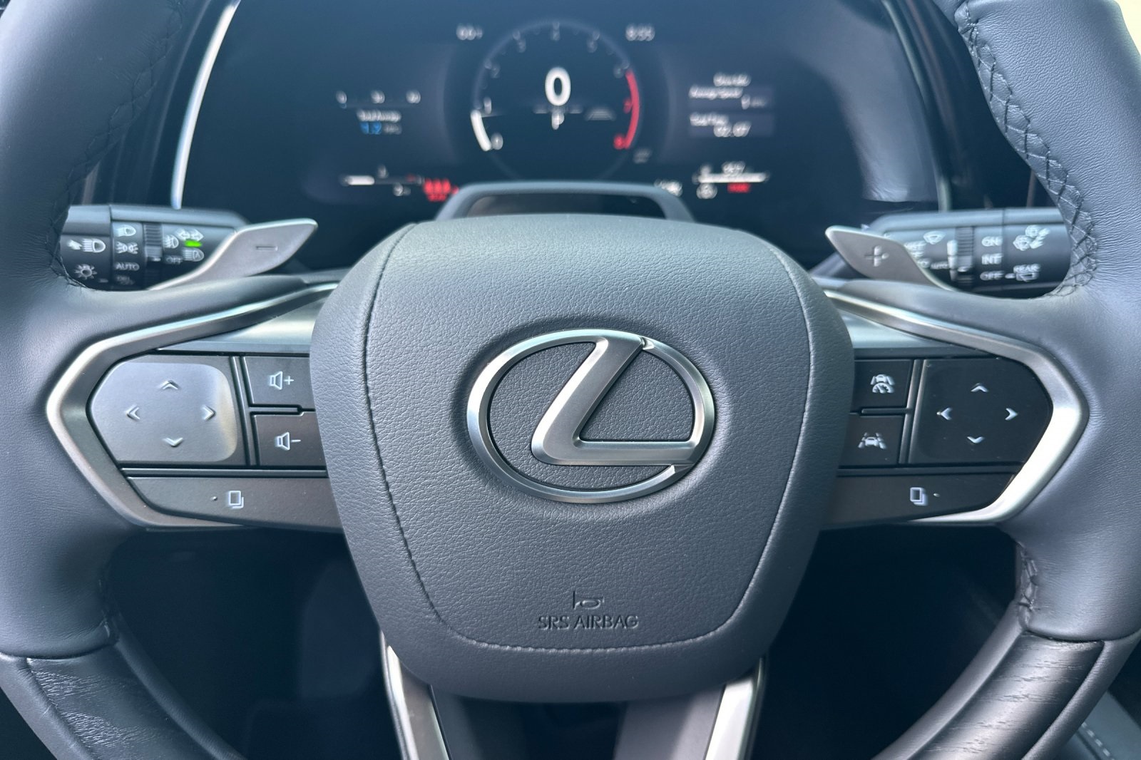 2025 Lexus RX 350 Luxury AWD photo 18