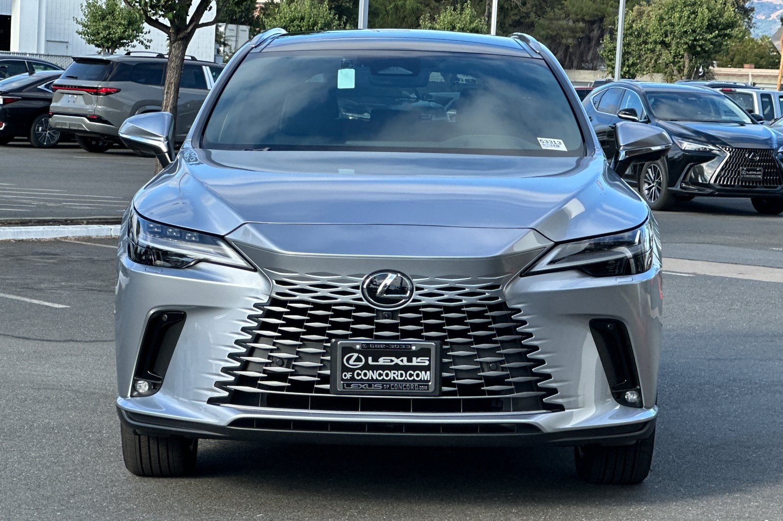 2025 Lexus RX 350 Luxury AWD photo 5