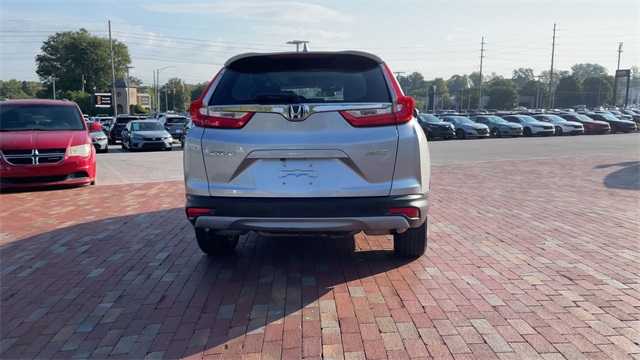 View 9